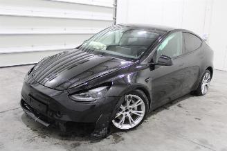 Unfallwagen Tesla Model Y  2023/11