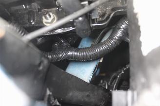 Fiat 500  picture 20