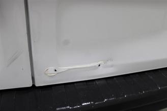 Nissan Primastar  picture 23