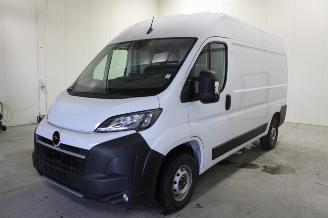 Schadeauto Opel Movano  2025/2