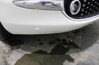 Fiat 500  picture 22