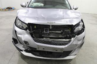 Peugeot 2008  picture 6