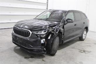 skadebil auto Skoda Kodiaq  2025/3