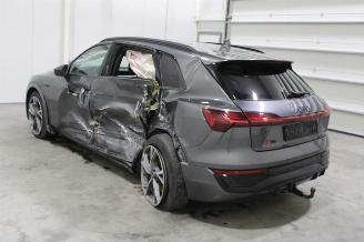 Audi Q8 e-tron picture 4