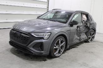 uszkodzony samochody osobowe Audi Q8 e-tron 2024/1