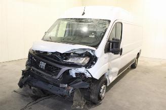 Avarii autoturisme Fiat Ducato  2024/2