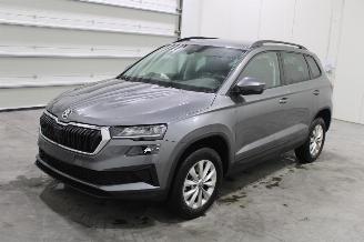 Auto incidentate Skoda Karoq  2026/1