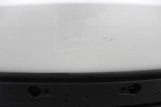 Tesla Model 3  picture 12