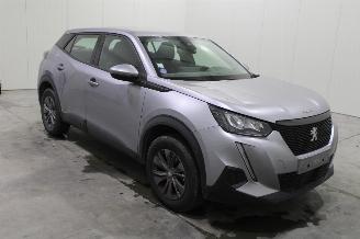 Peugeot 2008  picture 2