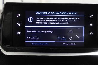Peugeot 2008  picture 13