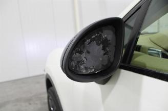 Porsche Cayenne  picture 7