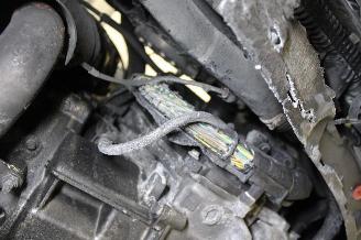 Ford Fiesta  picture 15