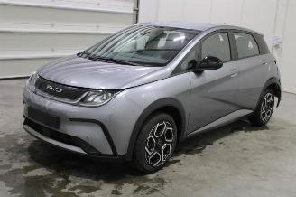 Schadeauto BYD Dolphin  2024/9