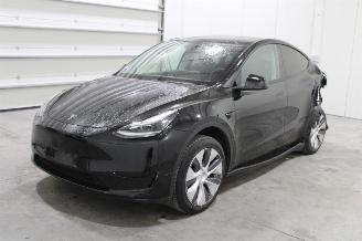 Avarii autoturisme Tesla Model Y  2024/1