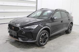Avarii autoturisme Cupra Formentor  2024/2
