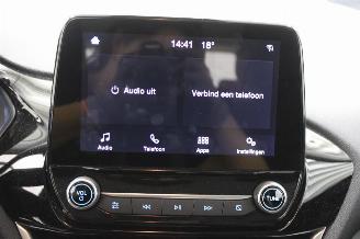 Ford Fiesta  picture 14