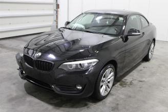 skadebil auto BMW 2-serie 218 2020/1