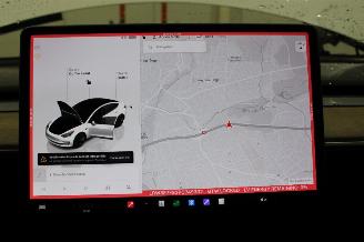 Tesla Model 3  picture 13