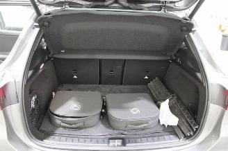 Mercedes EQA  picture 19