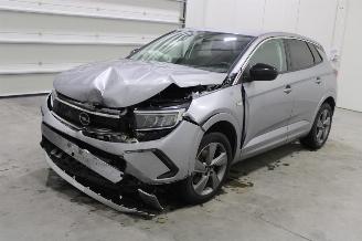 Schadeauto Opel Grandland X 2024/4