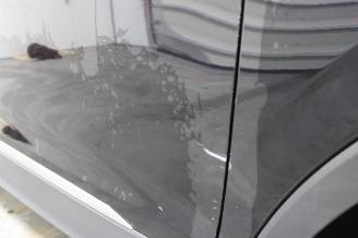 Volkswagen Tiguan  picture 23