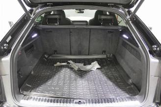 Audi RS Q8 picture 25