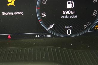 Skoda Kodiaq  picture 13