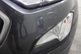 Ford EcoSport  picture 9