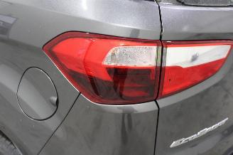 Ford EcoSport  picture 8