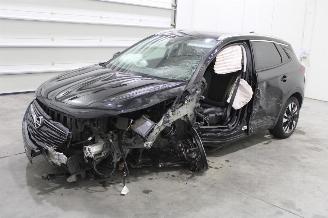 Salvage car Opel Grandland X 2021/6