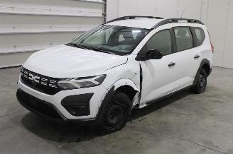 Auto incidentate Dacia Jogger  2023/11