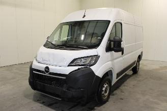 Unfallwagen Opel Movano  2025/10