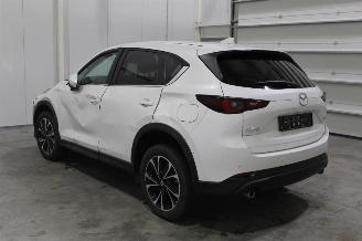 Mazda CX-5  picture 4