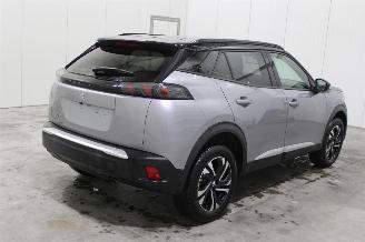 Peugeot 2008  picture 3