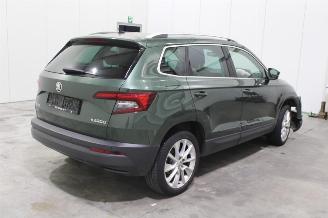 Skoda Karoq  picture 3