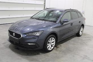 Damaged car Seat Leon  2023/6