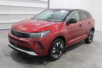 Avarii autoturisme Opel Grandland X 2023/9