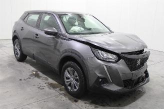 Peugeot 2008  picture 2