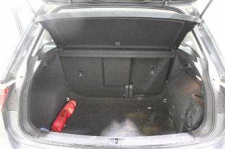 Volkswagen Tiguan  picture 17