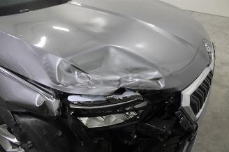 Skoda Kamiq  picture 9