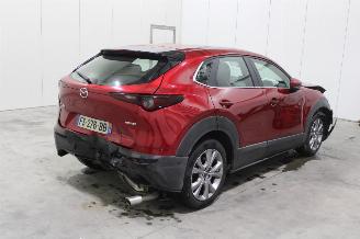 Mazda CX-30  picture 3