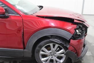 Mazda CX-30  picture 6