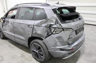 Skoda Karoq  picture 23