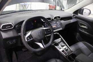 MG ZS  picture 11