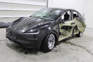 Schadeauto Tesla Model Y  2025/4