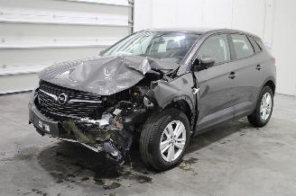 Vaurioauto  passenger cars Opel Grandland X 2021/6