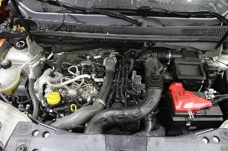 Dacia Duster  picture 16
