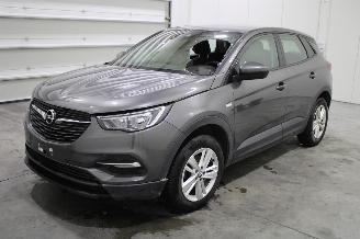 Dezmembrări autoturisme Opel Grandland (X) 2019/12