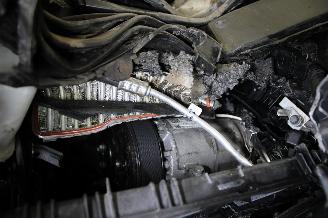 Renault Clio  picture 17
