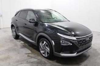 Hyundai Nexo  picture 2